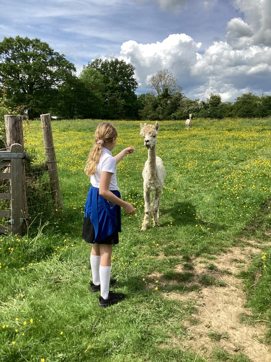 Bethersden Primary tweet media