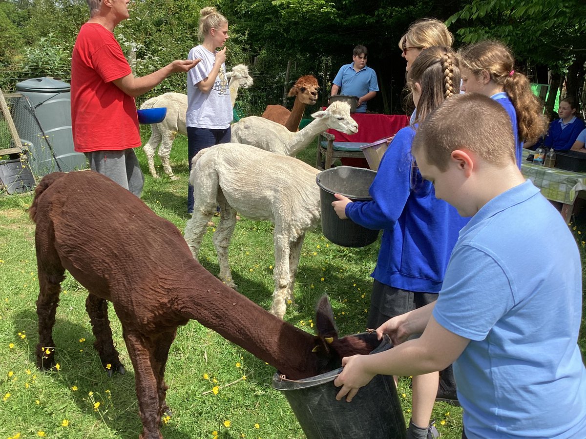 Bethersden Primary tweet media