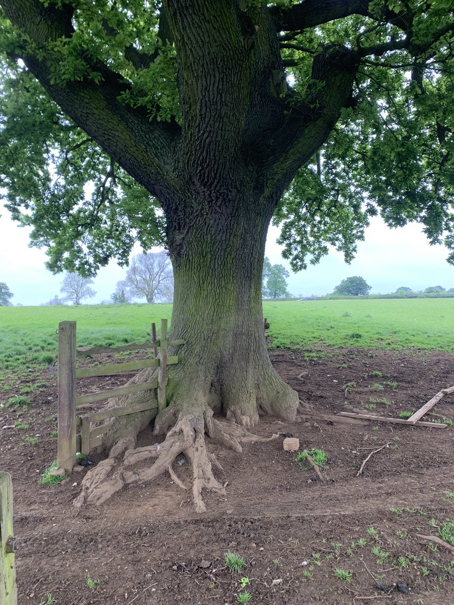 Tim Gowling tweet media