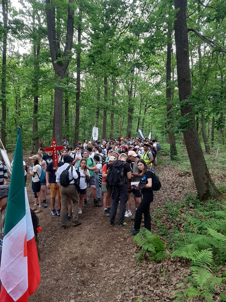 #NDC2024 i Pellegrini continuano il loro percorso verso #chartres. In foto i ragazzi del 2º capitolo italiano “Beato Rolando Rivi” #pellegrinaggioachartres #mil