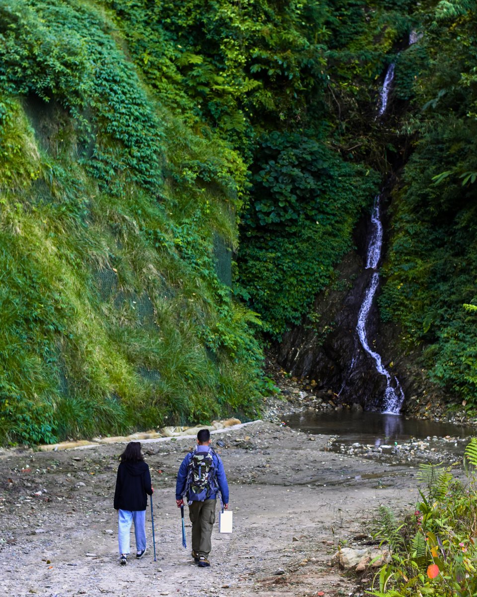 In one of our previous posts we spoke about the perks of waking up with the sun at Taj Guras Kutir. Here’s us bringing you another perk. This is the Nature Trek that winds around the property, through the lush forested paths that surround us, and ends with you right at…

(1/4)