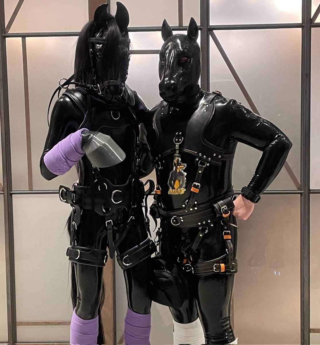 Happy Squeaky Saturday from horse! Loved showing off my new @CraftsAndrew harness at FC! Hanging with the purple boi @AkaruAD. Purple and orange is a great combo I think 🖤🧡💜🖤 📸 @GeorgeWholesome