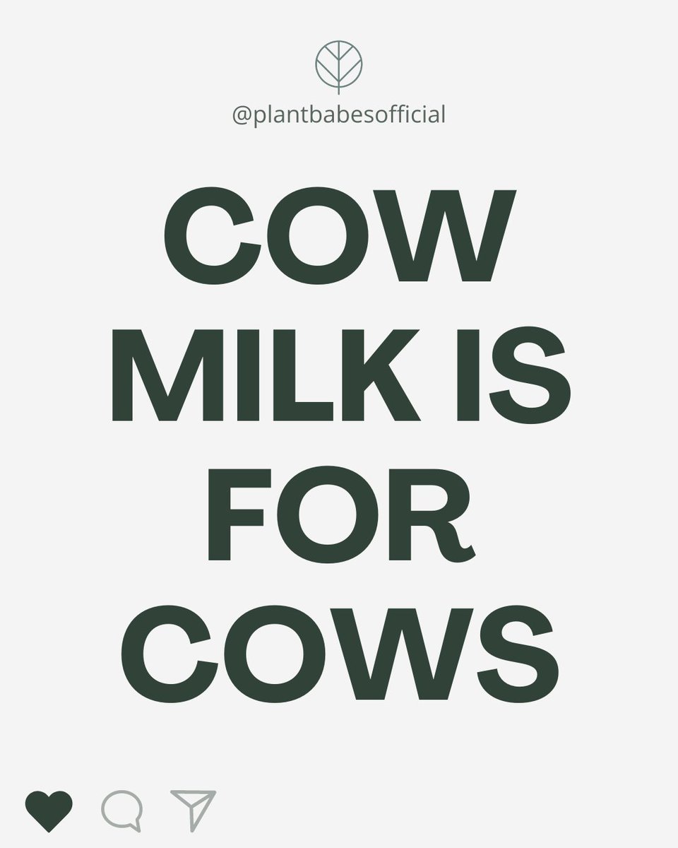 Cows produce milk to nourish their calves, not for human consumption!! #Vegan #AnimalRights