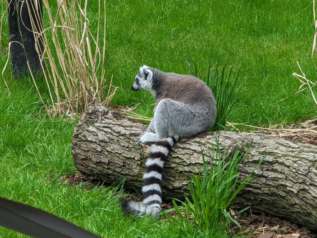 Paul Freeman tweet media