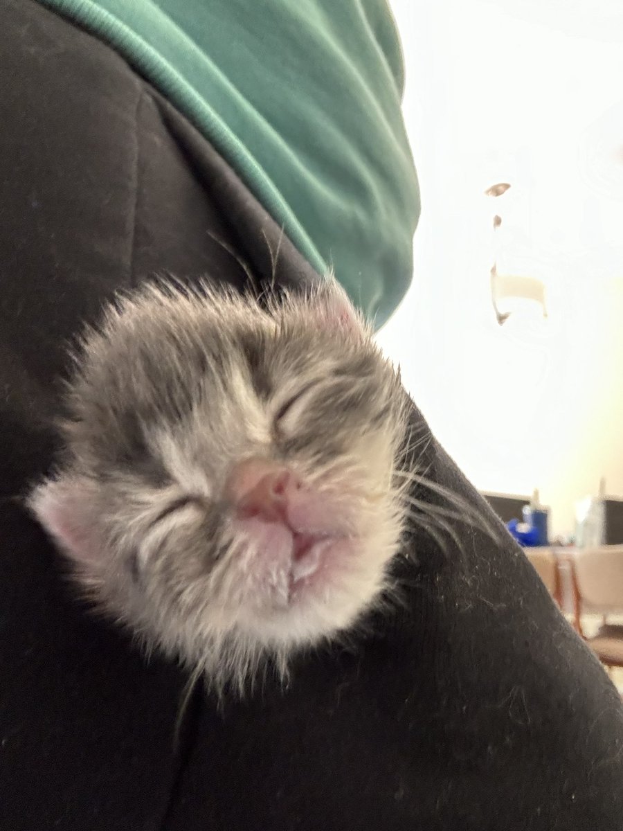 polinium🍉 tweet media