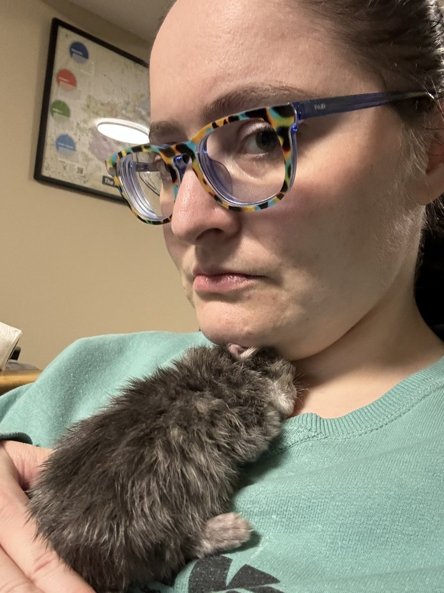 polinium🍉 tweet media