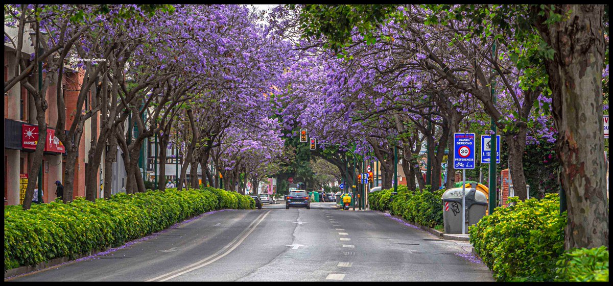 Málaga.
@turismodemalaga
@OrgullodeMalaga
@MalagaEnamorada
@vivecostadelsol
@viveandalucia
@feelcostadelsol
@EnamoradaMalaga
@mlgmonumental
@serdemalaga
@Storm_Malaga
@Eltiempoalsur
@serdemalaga
@Malagaconacento