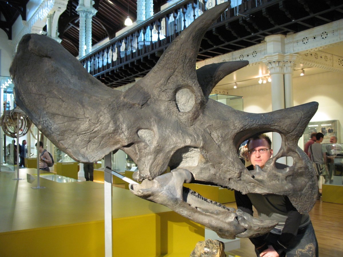 Just a reminder that Triceratops is amazing...

#Fossils #Dinosaurs #Triceratops #JurassicPark #JurassicWorld