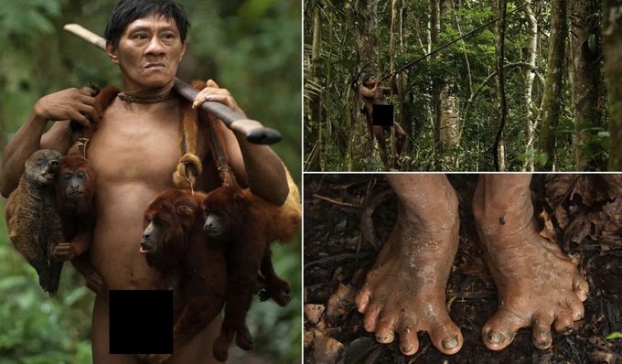 The Huaorani tribe, also known as Waorani or Waos, is an indigenous group residing in Eastern Ecuador within the Amazon rainforest. With a population of approximately 4,000 members, the tribe maintains a unique cultural and linguistic heritage. 

Their language is distinct and