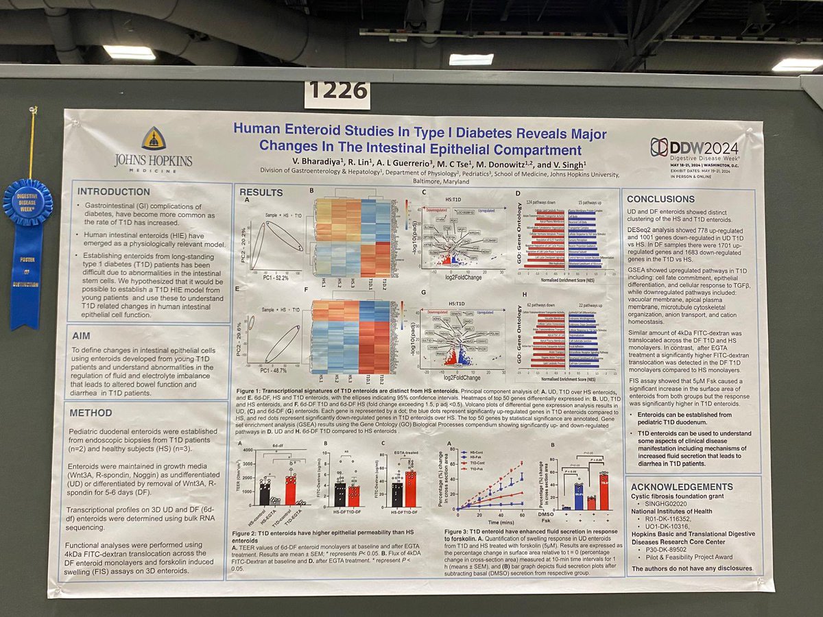 Checkout our Poster of Distinction at the #DDW this afternoon! 

We report on epithelial changes in the T1D enteroids, showcasing the potential of ex-vivo models for studying GI complications and drug discovery in diabetes. Do stop by and have a look!
