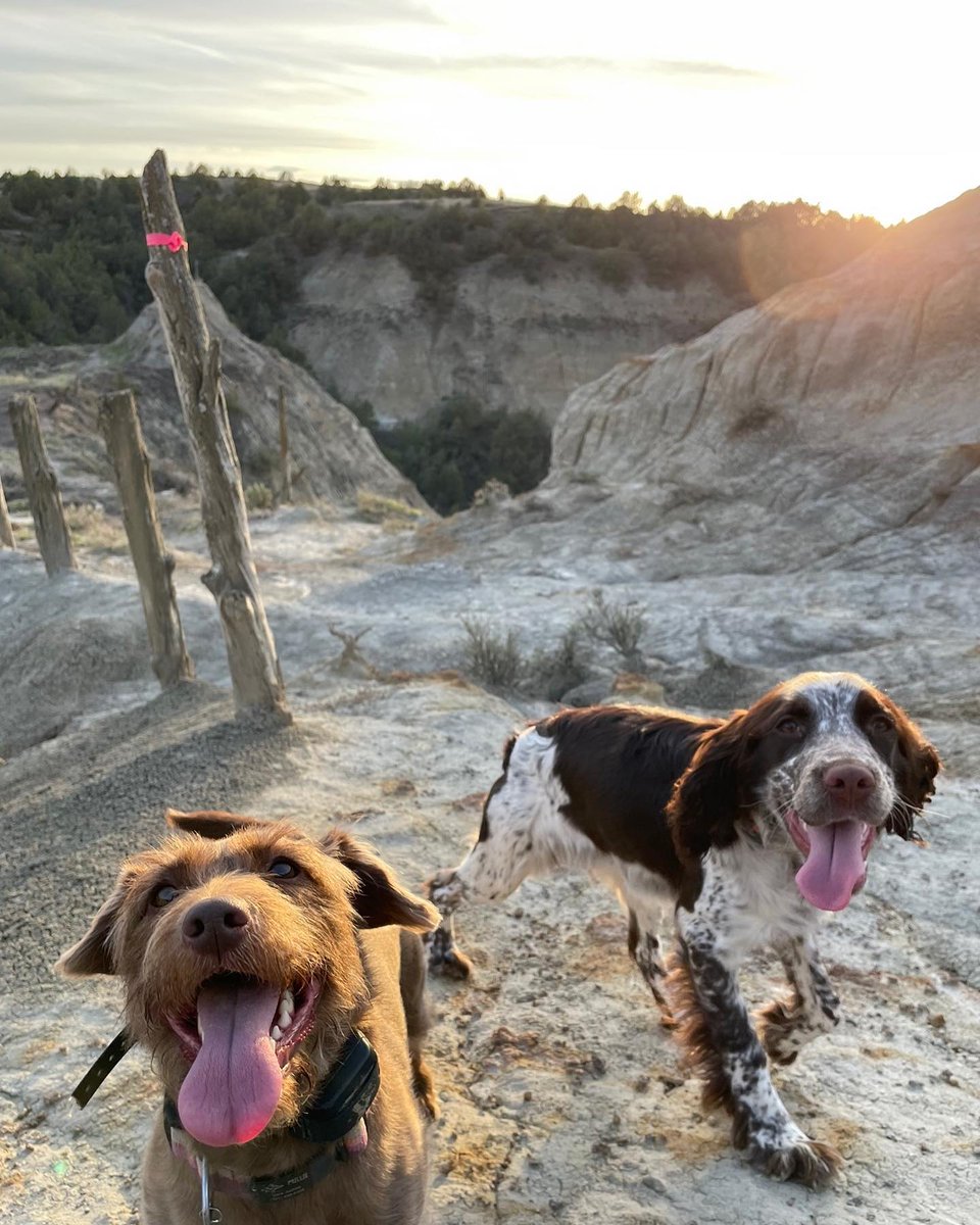 Pictured here: The cutest adventure buddies we've ever seen! 🐾 📸: @saraann_7 📍: Maah Daah Hey Trail