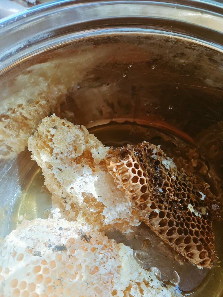 'Wada uchi wada nyuchi' 🍯🐝
There's never a dull day on a farm. 🇿🇼

#wildhoney #grateful