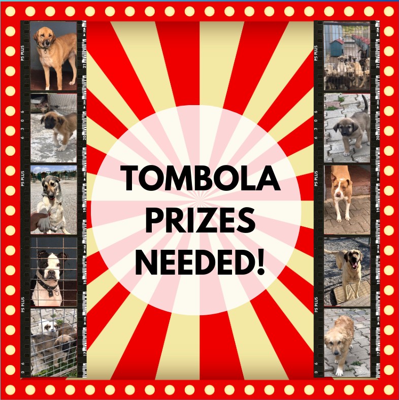 Thank you so very much to the lovely lady who sent tombola prizes ❤️❤️❤️❤️ Would you like to help? Do you have any unwanted gifts at home, scented candles, bath & beauty, notebooks, toys, games, chocolate, pet products etc Address on our website or DMs open