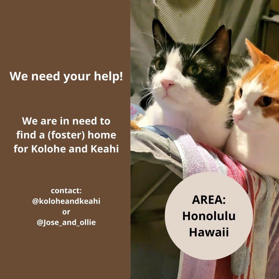 RoxyRoxLA tweet media