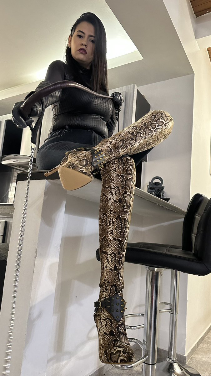 It's breakfast time!! my human dog 😈