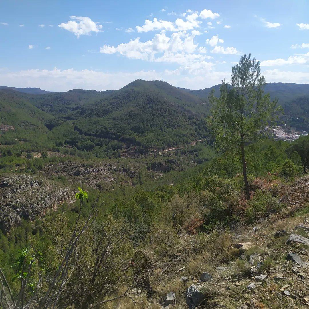 Ruta entre els municipis de Fuentes de Ayódar i Torralba del Pinar. Caminem pels paisatges boscosos de la Serra d'Espadà, arribem al municipi de Torralba i visitem el conegut Pou Negre i altres tolls, on estrenem la temporada de bany. Ruta d'uns 14 km i 500 metres de desnivell.