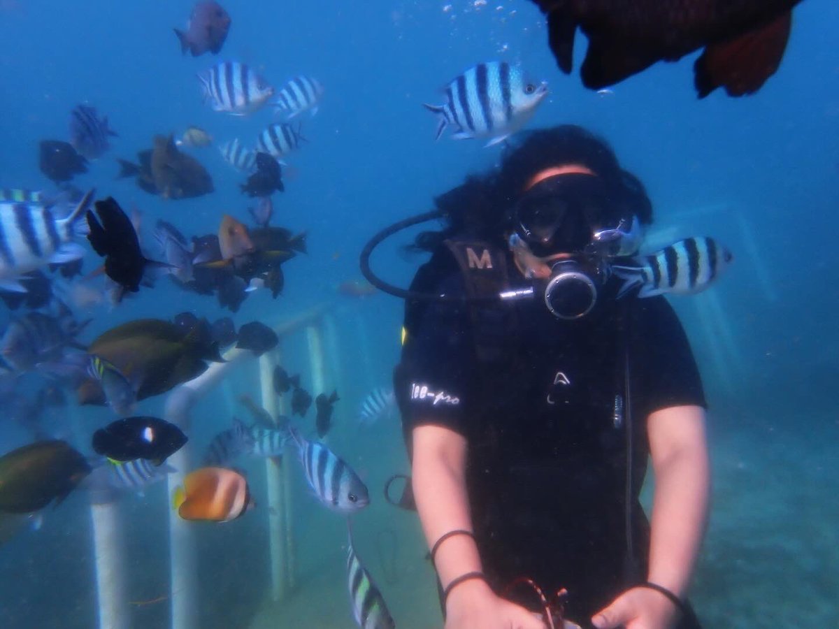 HolidayTram's tweet photo. #scubadiving? Hell yeah! 🤿
📍: #Bali
📸: Mohd Aamir Khan
#balitrip #baliholiday #takemeback #indonesia #paradise #beach #beauty #adventure #exploreourearth #sea #ocean #adventuretime #HolidayTram #Shavik #ShavikHospitalityServices #travel #holiday #bestvacations #scuba https://t.co/xYFdARu66B