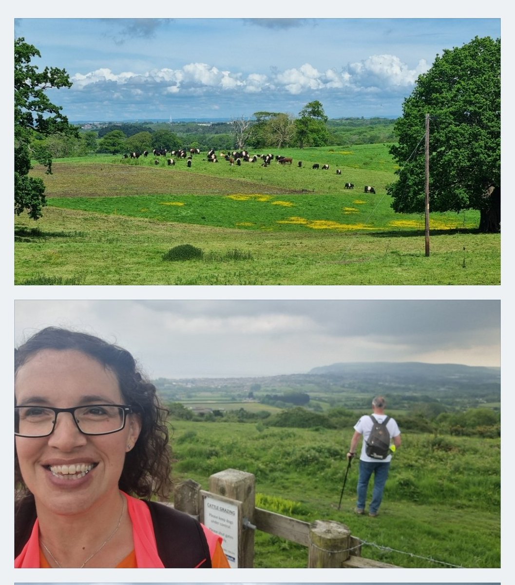 Led nearly 20 walkers today as part of the @IWWalkingFest . I spoke about the history & geology & rewilding projects from Ryde to Nunwell to Brading. Everyone was so positive- some even said they'd watch out for any future walks I did! Such a privilege to be part of the festival.