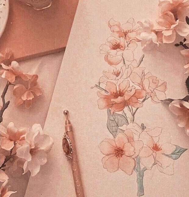 ♡ tweet media