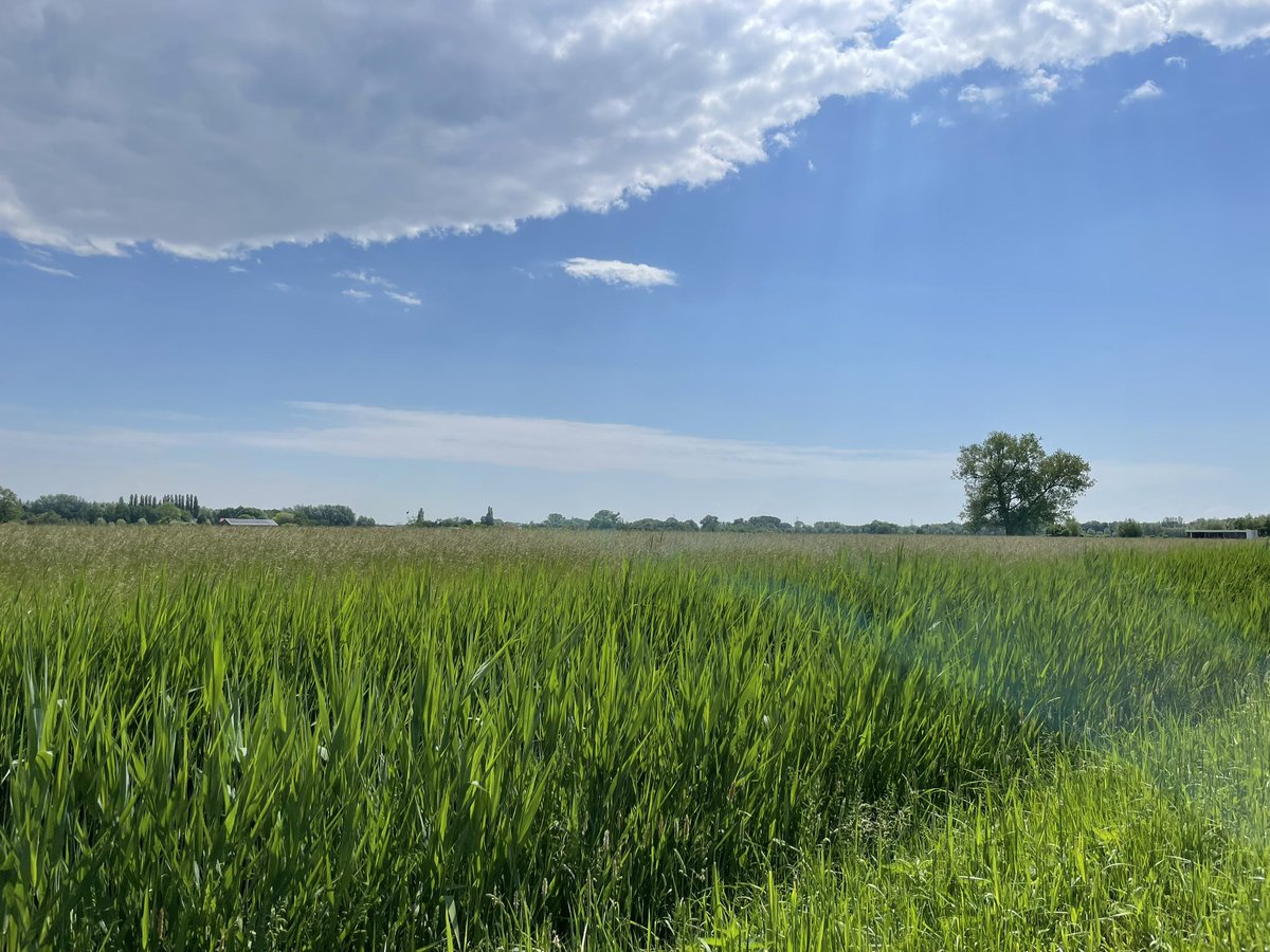 Brilliant battlefield tour in & around #Driel with @Arnhem44Fellow retracing the steps of Major General Sosabowski & the Polish 1st Independent Parachute Brigade during Operation Market Garden. @_6BPD_ @Professor_Hal @ukinpoland @ukinnl 🇬🇧 🇵🇱 🇳🇱