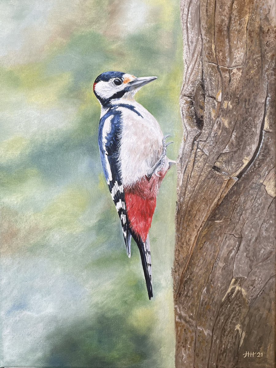This is my painting of a great spotted woodpecker 🎨 #woodpecker #bird #birds #oilpainting #art #artistsonx