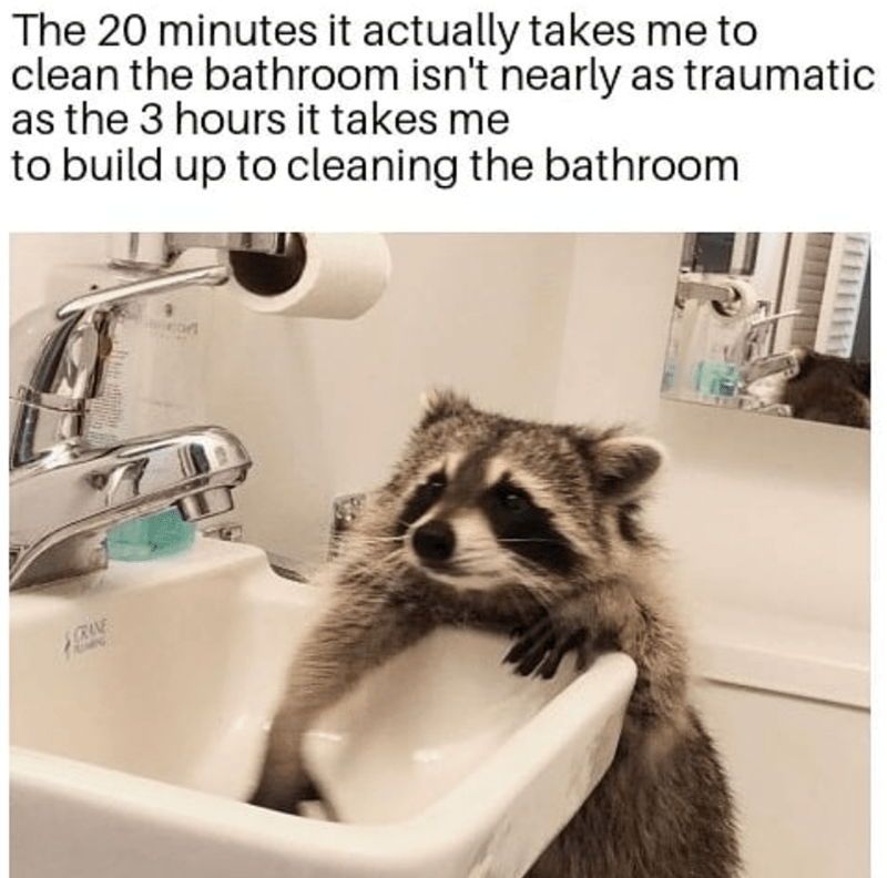 This is painfully accurate. 😂 #racoon #cleaningmemes #funny