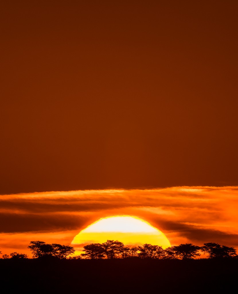 The southern Kalahari's red sand is matched by its fiery sunsets. Sundowners against this awe-inspiring backdrop just taste better, trust us. ⁠
⁠
Image @MarcusWestbergPhotography ⁠
⁠
#Tswalu ⁠