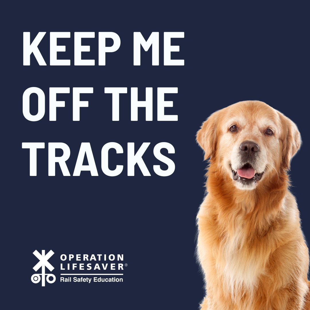 Keep every member of your family off railroad tracks – including your furry friends. 🐾 Always keep pets leashed and safely away from railroad tracks. #RailSafetyEducation #STOPTrackTragedies #SeeTracksThinkTrain