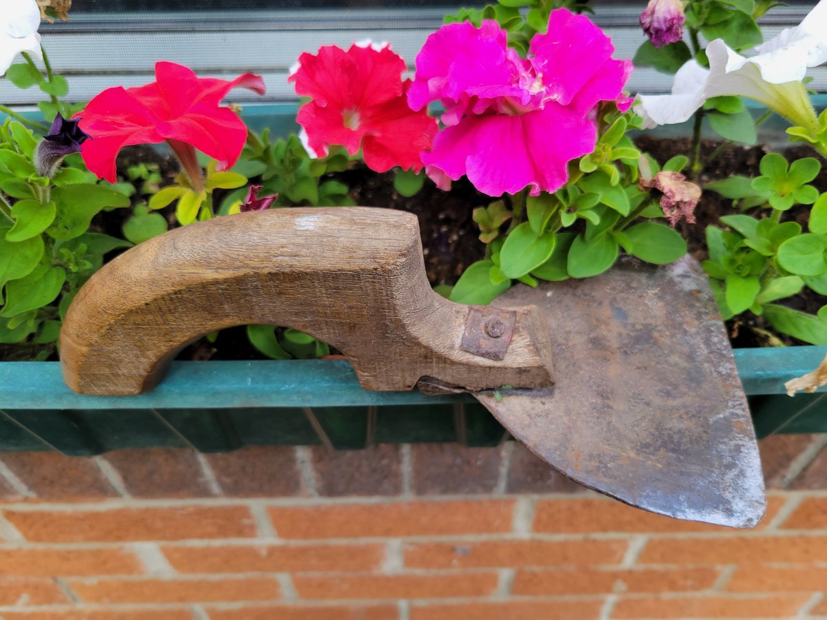 #Brampton Gardiners, it's the May long weekend to do some planting.

I cannot do without this Punjabi tool called a Rumba. Much better than a standard trowel for breaking, moving soil, sowing seeds. Sell them across the city at Indian stores, #Bramalea fruit market. #brampoli