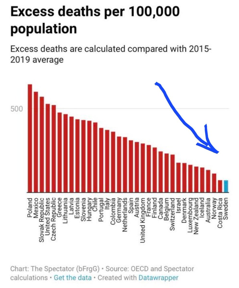 Dijeron que los confinamientos eran para salvar vidas. El exceso de mortalidad en Suecia sin confinamientos fué mucho menor que todos estos países (incluida España) con ellos. No sé si me explico.