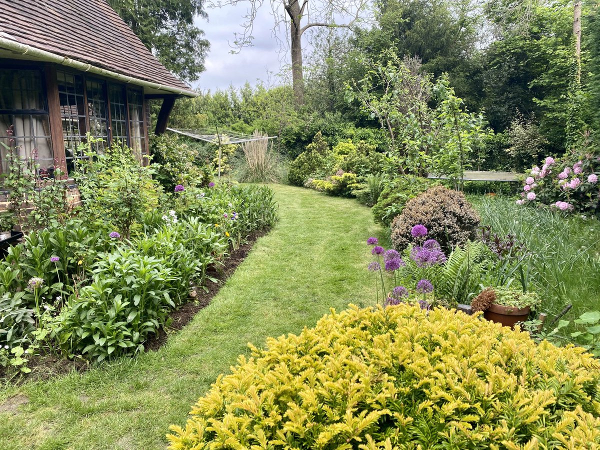 Wanted a bit more colour so shifted some alliums , which flow beautifully with the wash line