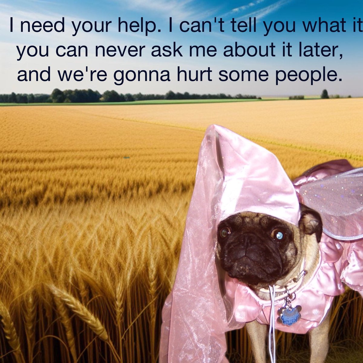 Baylor? Hardly Know Her (@ppelt13) on Twitter photo 