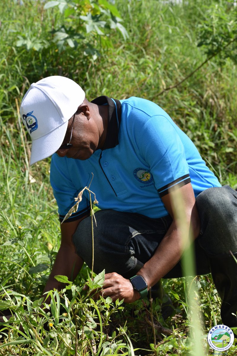 NakuruWater's tweet image. Led by our Board of Directions and the Managing Director we joined @NakuruCountyGov and @Egertonuni to plant trees at Nakuru Prisons. Growing a greener future together!  #EnrichingLife #EnvironmentalConservation #CommunityEffort
