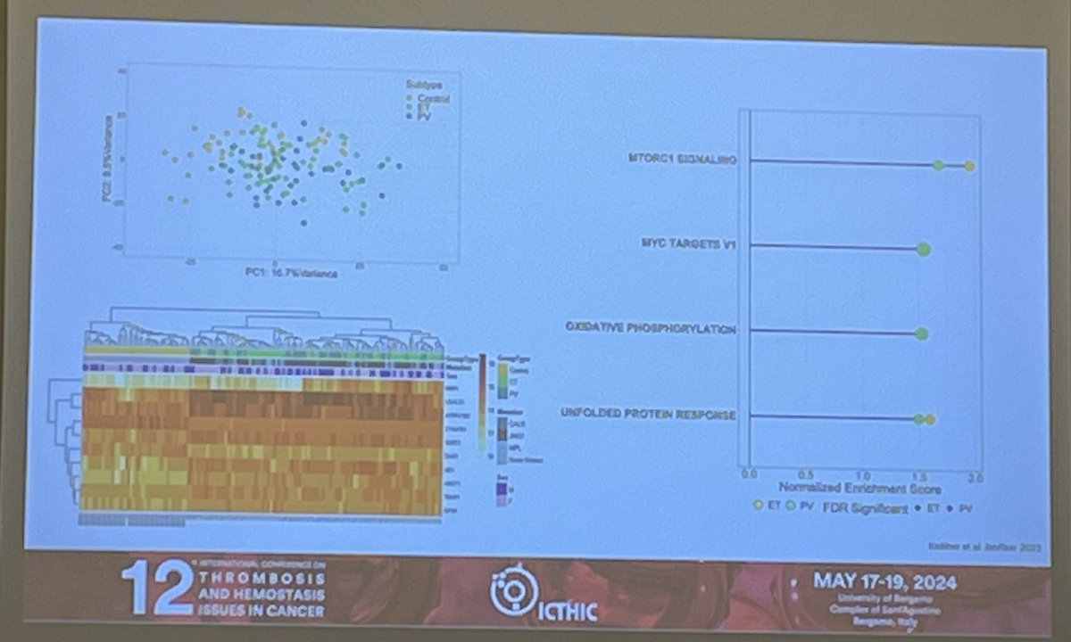 Barry Kevane (@barrykevane) on Twitter photo Another presentation from <a href="/ConwaySPHERE/">UCD Conway SPHERE</a> at #ICTHIC2024 with dr @_sarahkelliher presenting data generated in collaboration with <a href="/AnnaFalanga19/">Anna Falanga</a> <a href="/anandi_krishnan/">Anandi(she/her) @anandikrishnan.bsky☮️🇮🇳🇺🇸</a> describing plt proteome in MPN <a href="/maguirepatr/">Professor Patricia Maguire</a> <a href="/fniainle/">Fionnuala Ní Áinle</a> <a href="/UCDMedicine/">UCD Medicine</a> <a href="/HealthUcd/">UCD Health Affairs</a> <a href="/MaterTrials/">Cancer Trials Mater</a> Another presentation from <a href="/ConwaySPHERE/">UCD Conway SPHERE</a> at #ICTHIC2024 with dr @_sarahkelliher presenting data generated in collaboration with <a href="/AnnaFalanga19/">Anna Falanga</a> <a href="/anandi_krishnan/">Anandi(she/her) @anandikrishnan.bsky☮️🇮🇳🇺🇸</a> describing plt proteome in MPN <a href="/maguirepatr/">Professor Patricia Maguire</a> <a href="/fniainle/">Fionnuala Ní Áinle</a> <a href="/UCDMedicine/">UCD Medicine</a> <a href="/HealthUcd/">UCD Health Affairs</a> <a href="/MaterTrials/">Cancer Trials Mater</a>