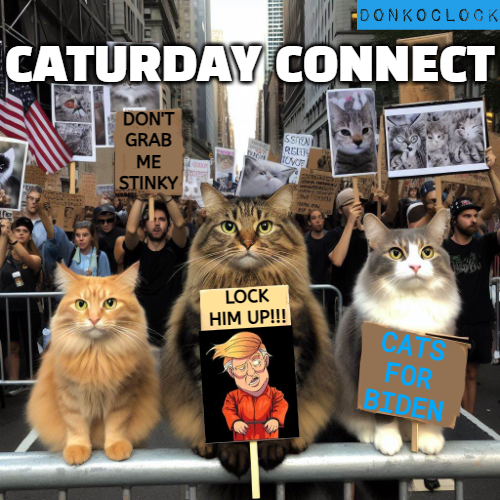 F MAGA Republicans🍊 #Caturday @kanekavi @ChapmanBirdia @jrocinha99 @gmf1369 @fiona_webster22 @PlowOn @AuthorJoeNBrown @PSmithers69v23 @NickAyer3 @4evermercury @mocoyds @NancyMa900 @SpitfireMarkIX @exux @wilson_pam @arleenmcwillt @HolyCowParts @harrb2 @durant_x11 @sherritxoxo