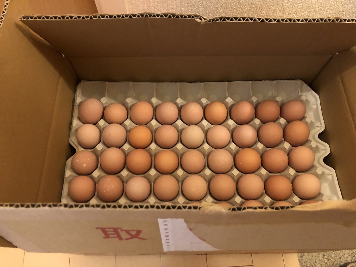 花井養鶏場の名古屋コーチン卵180個が届きました🥚こちらの卵は極上！！！コクも旨味も最高ですね！貴重なタンパク源！ #名古屋コーチン