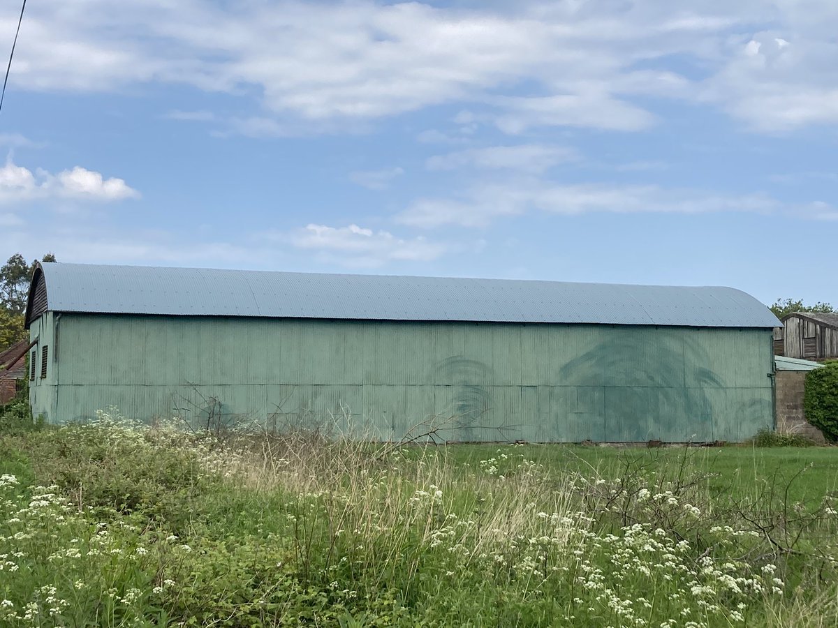 Tree ghosts, Hickling
#norfolk #trees #ghosts