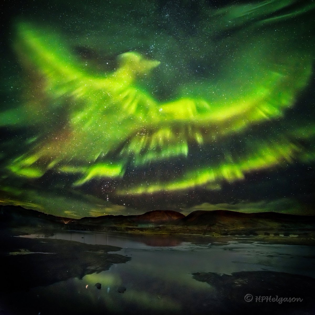 This famous aurora lit up pareidoliacally in an amazing shape reminiscent of a giant phoenix.

[📹 Hallgrimur P. Helgason]