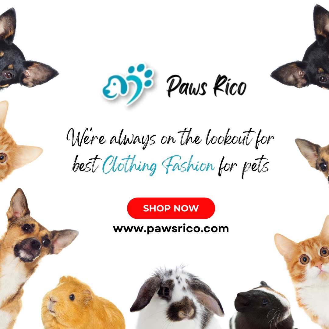 Stay ahead of the trends with Paws Rico – where we scout the best clothing fashion for your beloved pets so you don't have to. 

Stay fashionable, effortlessly. 🐕

🌐 pawsrico.com

#PawsRico #petlovers #4ourfurry1 #dogaccessories #petsupplies