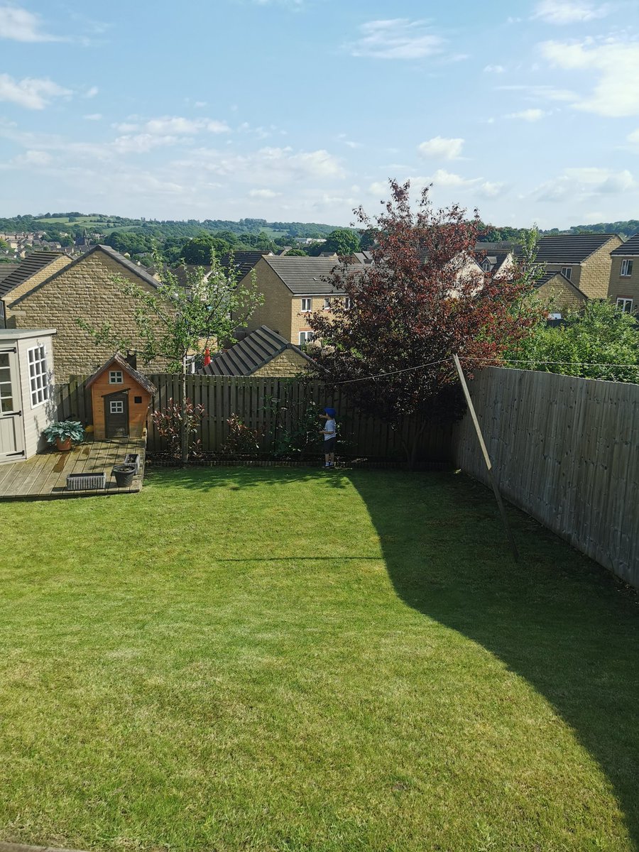 Science experiments in the garden today. Arthur said, 'I want to be a scientist. And a boxer. I box at school.' This makes me both proud and nervous. He definitely doesn't do a boxing club at school