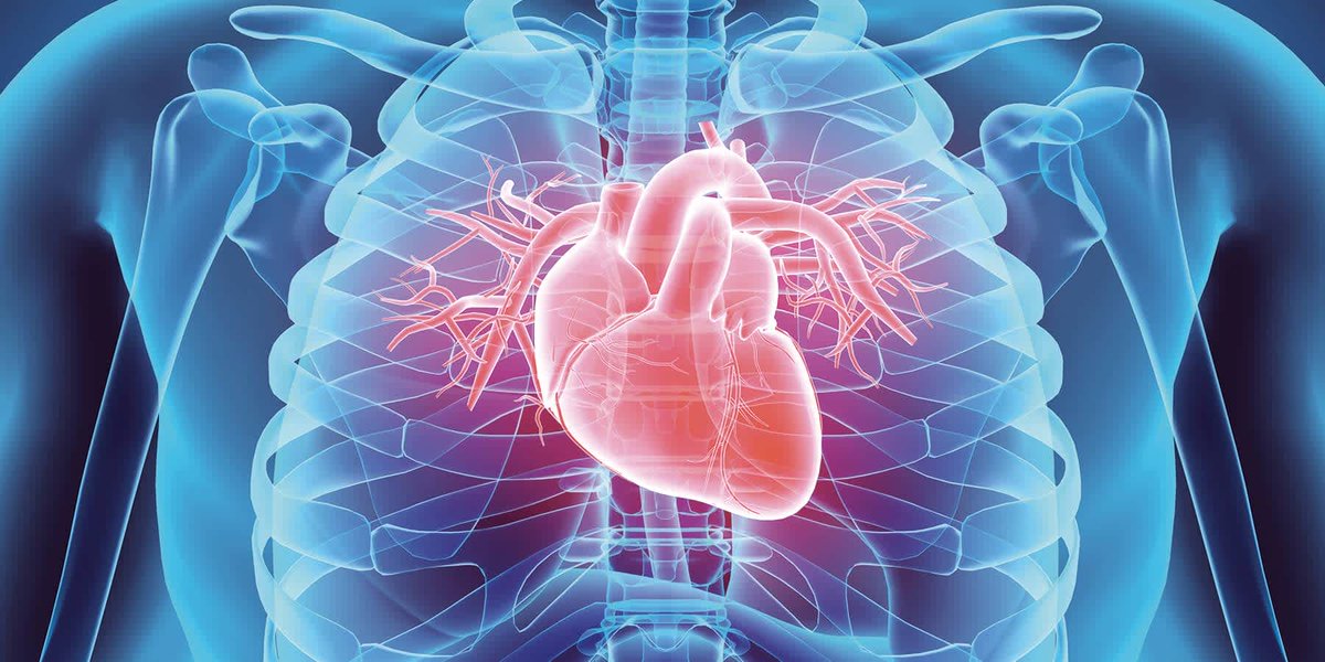 Heart disease is the leading cause of death 

But it’s insulin resistance that causes heart disease, strokes, cancers and other inflammatory conditions

Since your doctor won’t help you avoid it, here are 42 sentences that will: