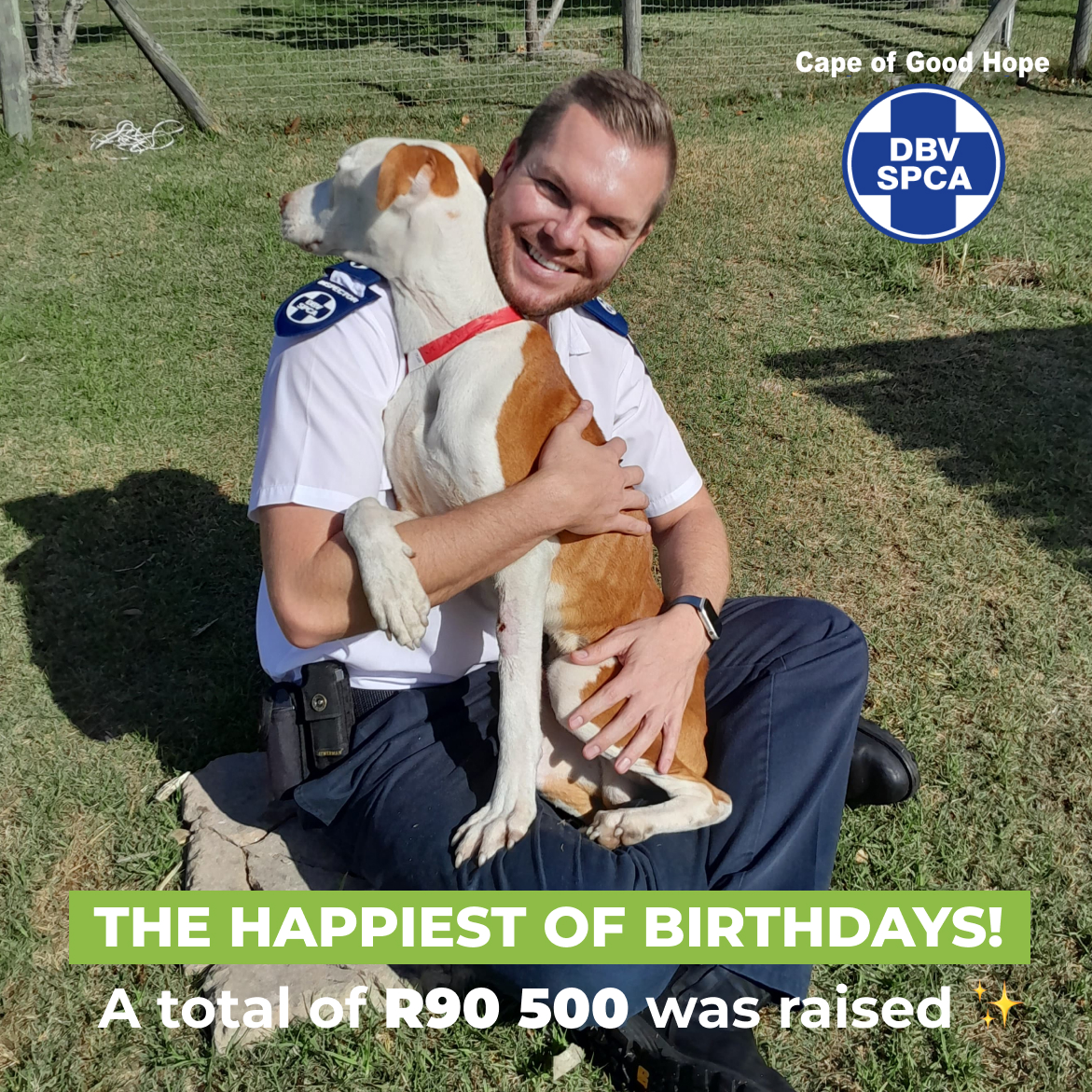 🎂 Chief Inspector Jaco Pieterse is having the happiest of Birthdays today thanks to your hero hearts. A total of R90 500 was raised! pulse.ly/hspwfyuzoy 🦸🏽‍♂🦸🏼#AnyoneCanBeAHero #AnimalRescue #SaveToby #DogAbuse #DogRehabilitation #StarvationAnaemia #CapeSPCA #CapeTown