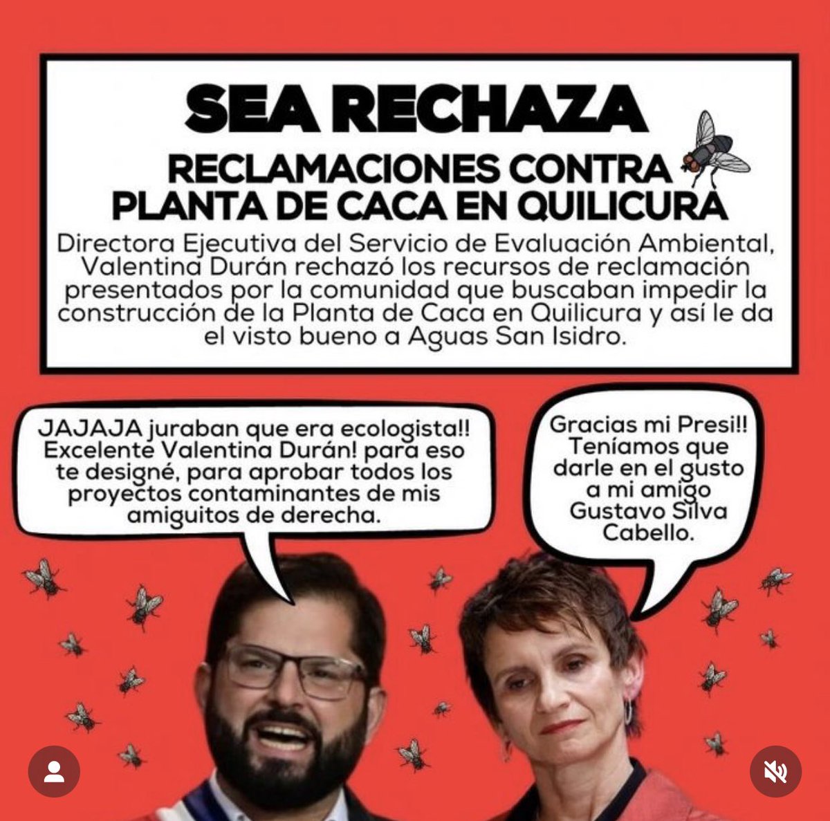 Sigo una página sobre los humedales de Quilicura y no entiendo por qué las organizaciones ambientales tienen que ser tan cringe, por Dios 🤦‍♀️