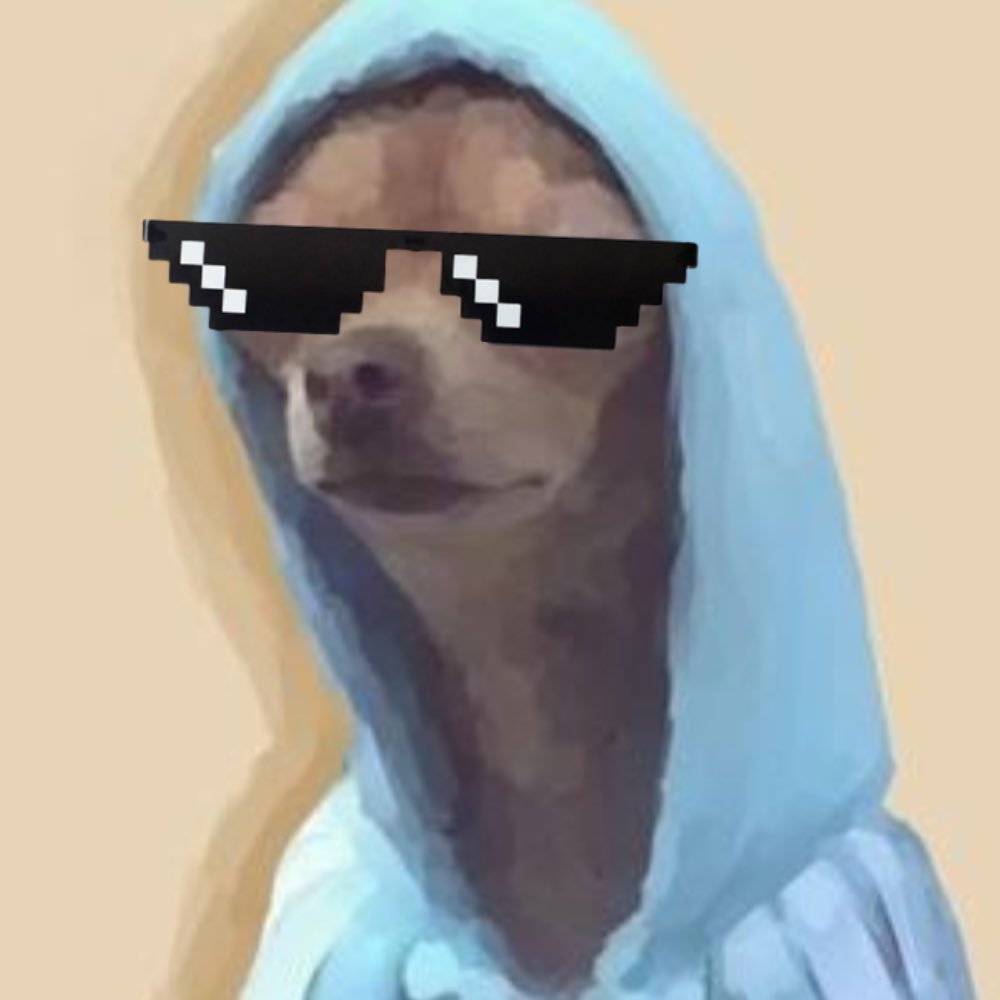 You merely adopted $DHOOD …. I was born in it.