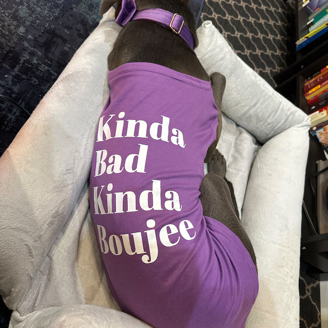 lovelightpaws's tweet image. Tag someone who needs this shirt! 👇

#funnydogshirt #dogapparel