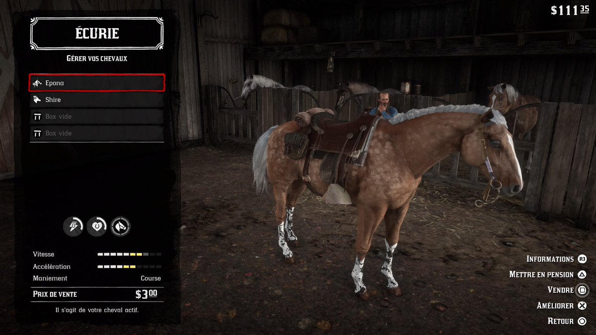 Avis cheval ?
