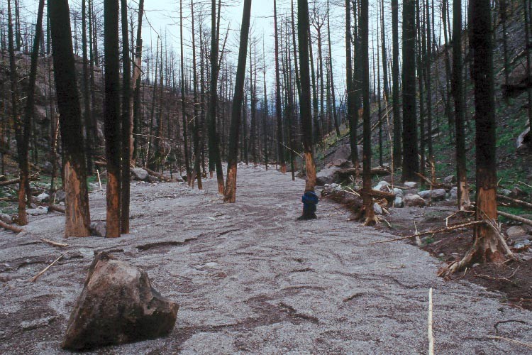 Today marks the 44th anniversary of the Mt. St. Helen’s eruption. 🌋 @USGS studies what happens in watersheds after hazardous events like this. Learn more about hydrologic and erosion responses of burned watersheds: usgs.gov/mission-areas/…