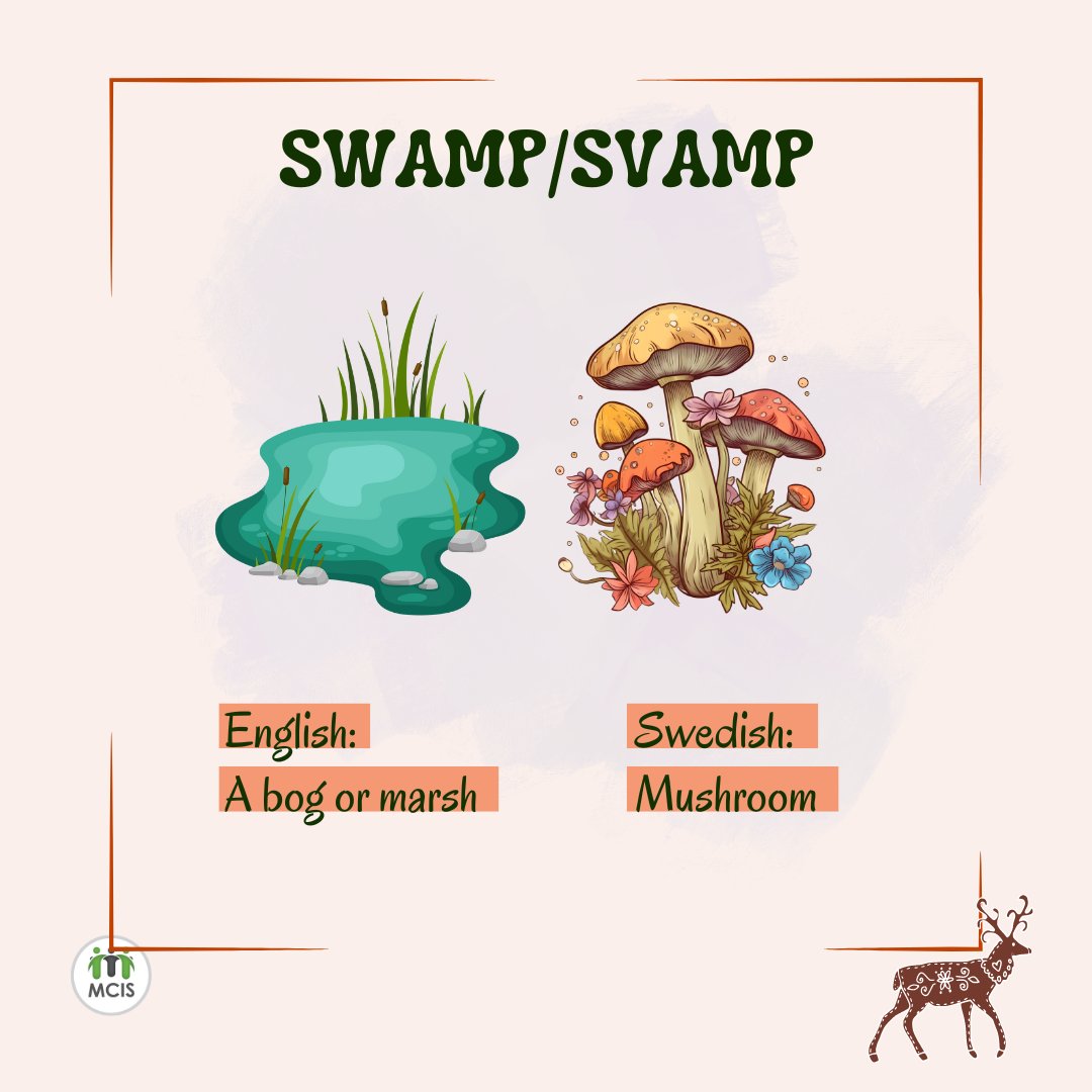 'False friends' in #translation: These words may look alike or sound alike, but have completely different meanings! 🤔
Today's word: 'Swamp/Svamp'

#LearningWithMCIS #LearnWithMCIS #Language #LanguageLover #LanguageLearning #Swedish #interpretation #translator