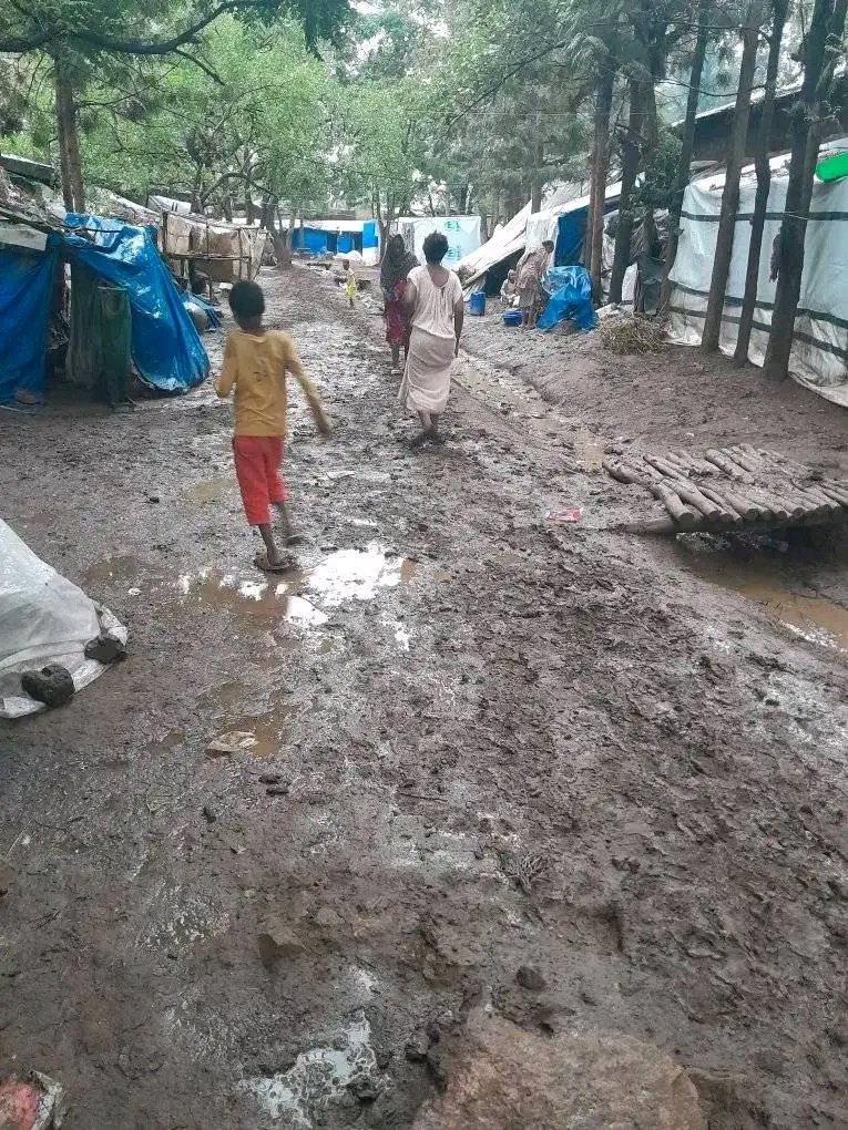 This picture was captured today at Tsehaye Elementary School of IDP from #WesternTigray in the town Shire Indasilasie, which their shelter is destroyed and flooded. #Returnbackhome #WesternTigray