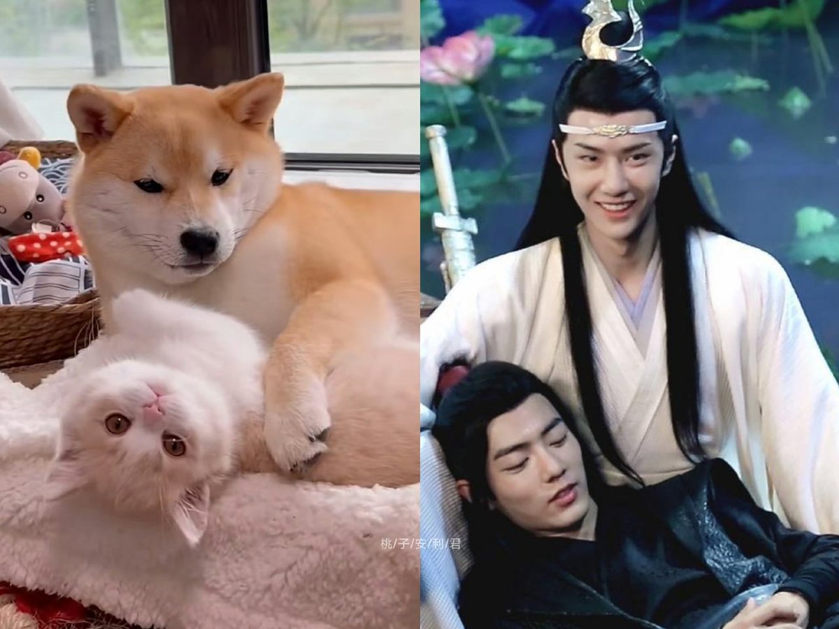 อันนี้คือภาพขยายความของคำว่าวาสนาหม๋าเด็กมีแฟนสวยป่ะ